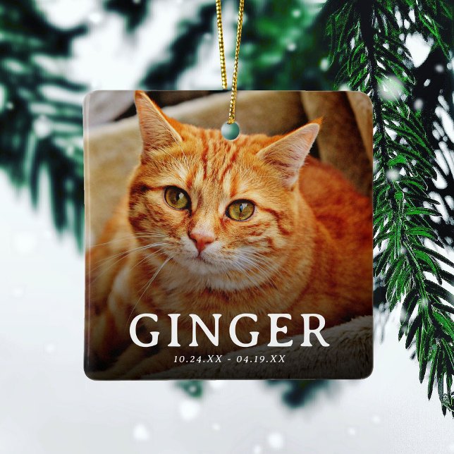 Ornamento De Cerâmica Impressões digitais no nosso "Hearts Pet Memorial  (Criador carregado)