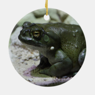 Ornamento De Cerâmica Incilius alvarius