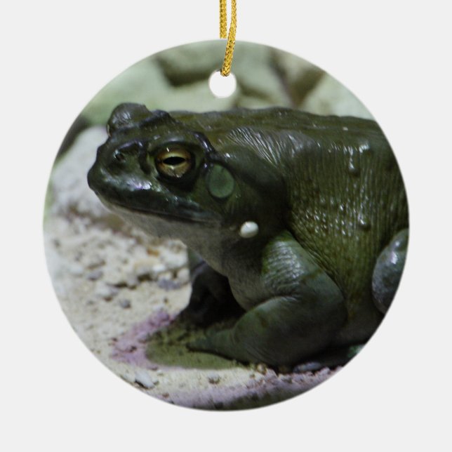 Ornamento De Cerâmica Incilius alvarius (Frente)