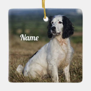 Ornamento De Cerâmica Inglês personalizado Springer Spaniel