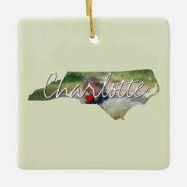 Ornamento De Cerâmica Inserção da Foto do Estado da Carolina do Norte e 
