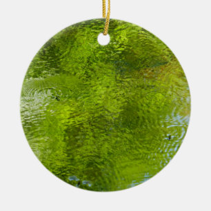 Ornamento De Cerâmica Insetos de água no Parque Estadual de Laurel Hill