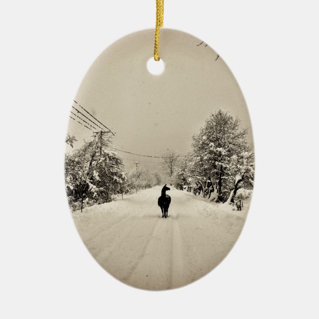 Ornamento De Cerâmica inverno do lama (Frente)