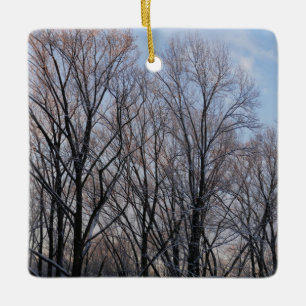 Ornamento De Cerâmica Inverno Morning III Paisagem natural