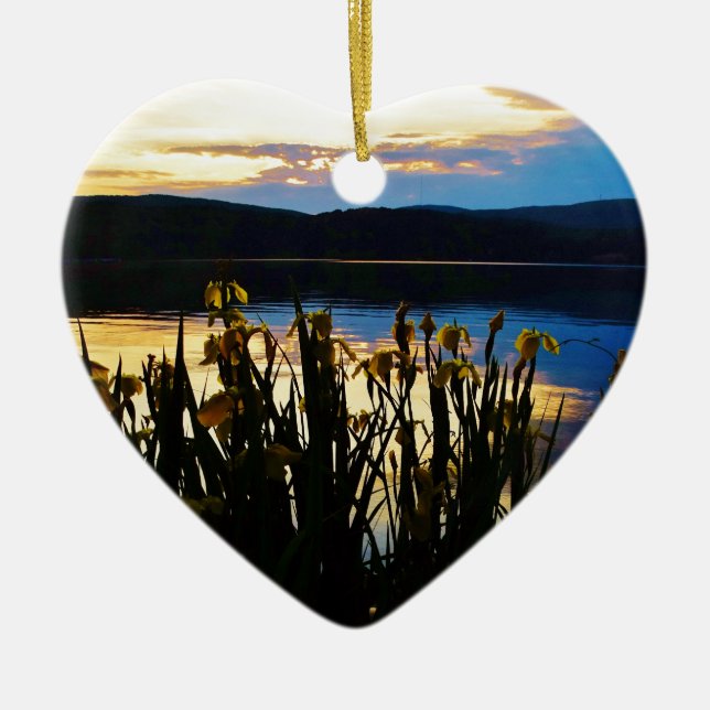 Ornamento De Cerâmica Íris Amarelo no lago da margem (Frente)