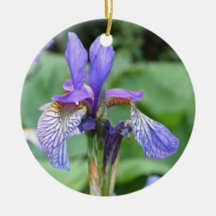 Ornamento De Cerâmica Iris Flower Cerâmica Ornament