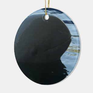 Ornamento De Cerâmica Irrawaddy Dolphin Peek-A-Boo