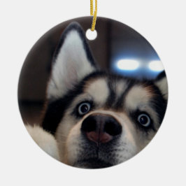 Ornamento De Cerâmica Is Anybody Out There