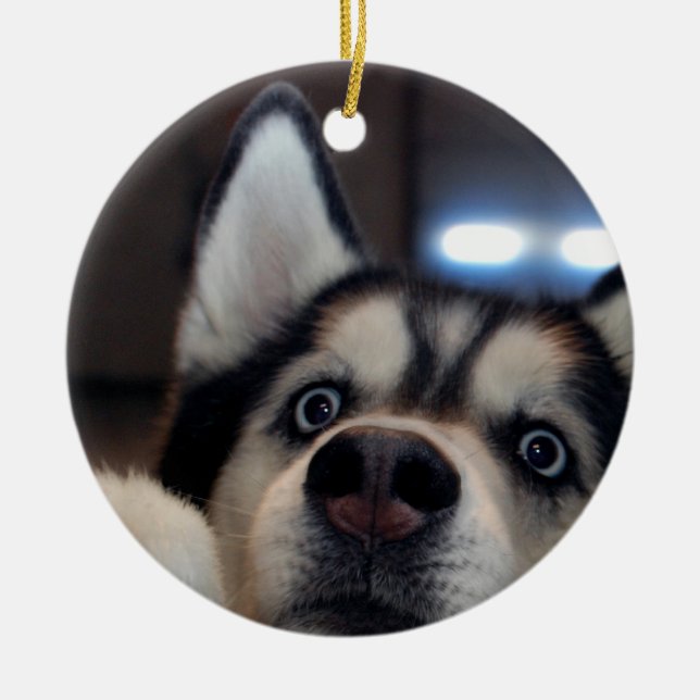 Ornamento De Cerâmica Is Anybody Out There (Frente)