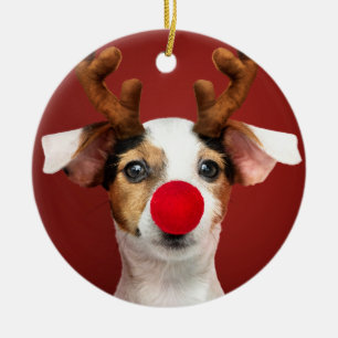 Ornamento De Cerâmica Jack Russell Reindeer
