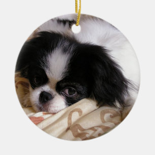 Ornamento De Cerâmica Japanese_chin puppy.png