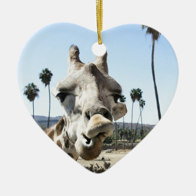 Ornamento De Cerâmica Jardim zoológico de San Diego (Frente)