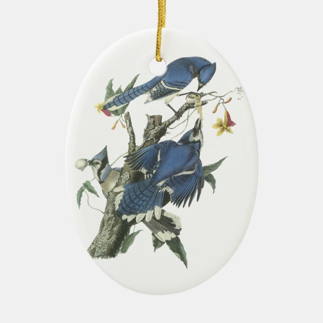 Ornamento De Cerâmica Jay azul, John Audubon (Frente)