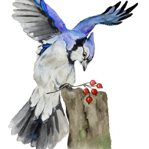 Ornamento De Cerâmica Jay azul-marinho