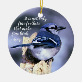 Ornamento De Cerâmica Jay azul na natureza da fotografia dos animais