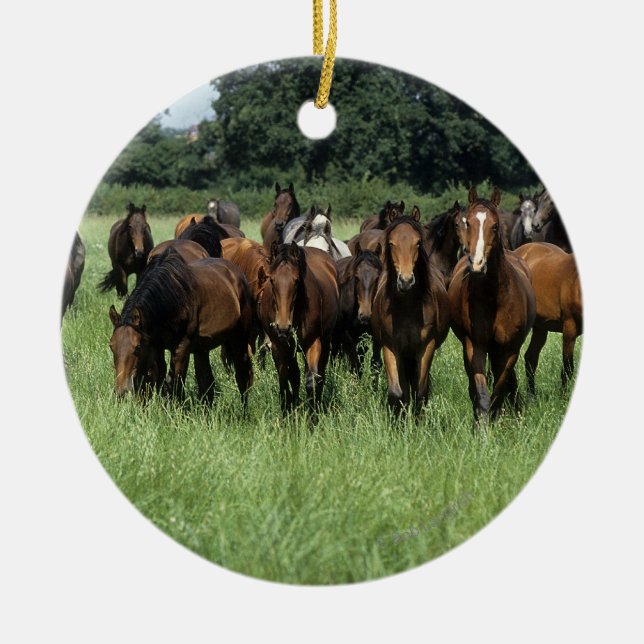 Ornamento De Cerâmica Jovens do puro-sangue (Frente)