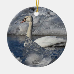Ornamento De Cerâmica Juvenil Swan no Rio Icey