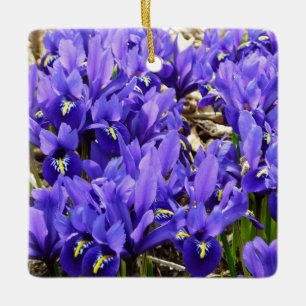 Ornamento De Cerâmica Katherine Hodgkin Irrises Primavera Floral Roxo