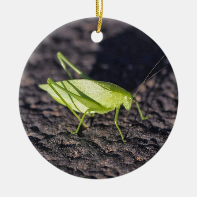 Ornamento De Cerâmica Katydid (Frente)