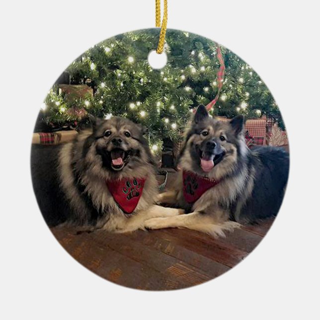Ornamento De Cerâmica Keeshond com árvore de Natal (Frente)