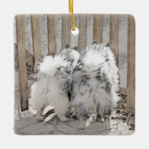 Ornamento De Cerâmica Keeshonds na Pintura do Portão - Arte Original pa