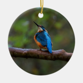 Ornamento De Cerâmica Kingfisher num galho