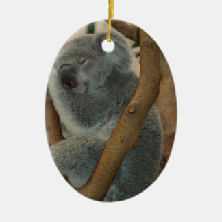 Ornamento De Cerâmica Koala Bear