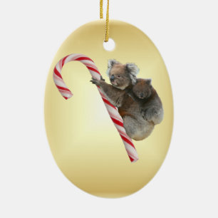 Ornamento De Cerâmica Koala Bear e Joey Cub Candy Cane
