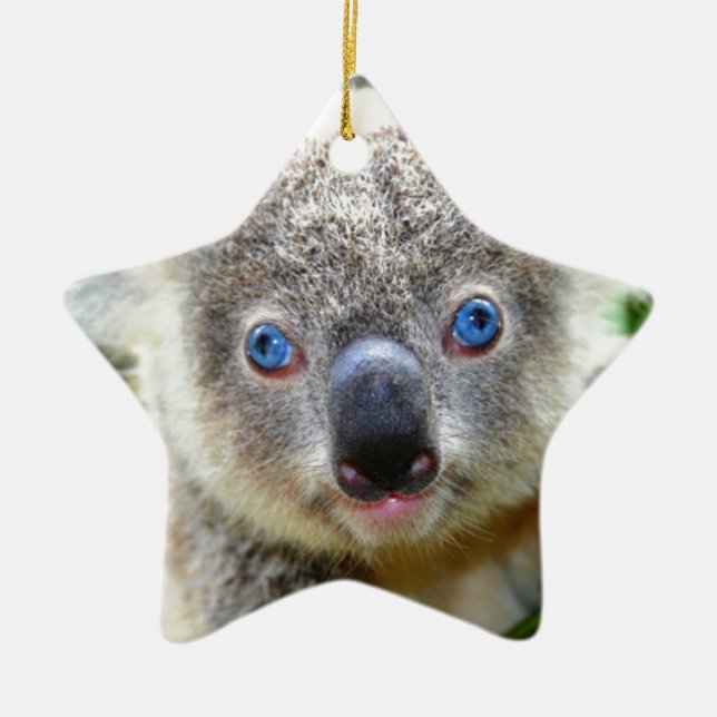 Ornamento De Cerâmica Koala Bears (Frente)