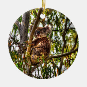 ORNAMENTO DE CERÂMICA KOALA EM EFEITOS DA ARTE DE QUEENSLAND AUSTRÁLIA