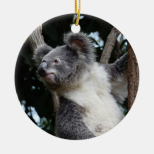 Ornamento De Cerâmica koala-mas da feliz
