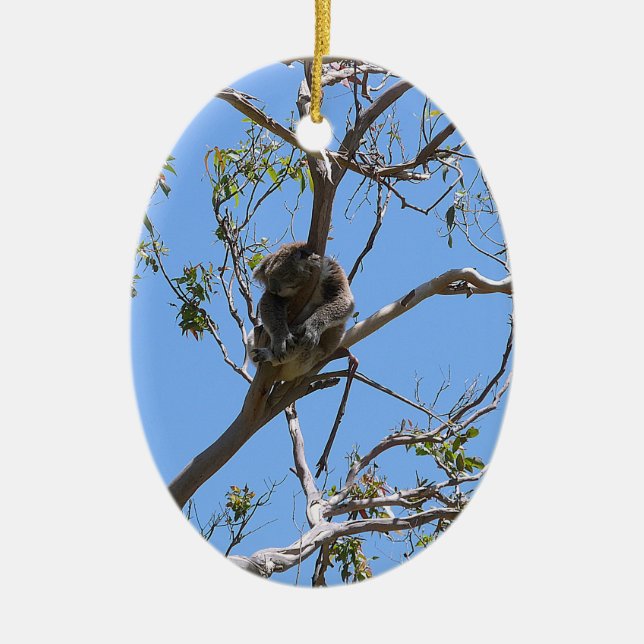 Ornamento De Cerâmica Koala Nap (Frente)