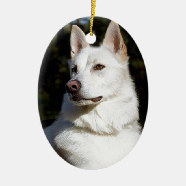 Ornamento De Cerâmica Kodah, O Pastor Branco Wolfdog (Frente)