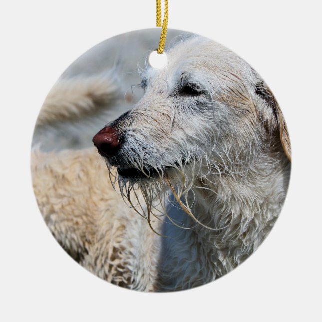 Ornamento De Cerâmica Labradoodle - Izzy (Frente)