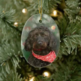 Ornamento De Cerâmica labradoodle no Natal
