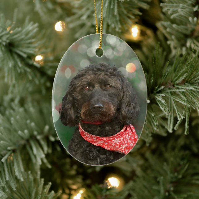 Ornamento De Cerâmica labradoodle no Natal (Árvore)