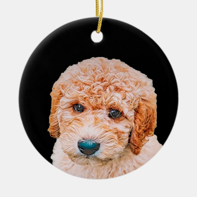 Ornamento De Cerâmica Labradoodle Puppy (Frente)