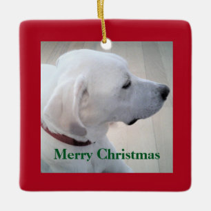 Ornamento De Cerâmica Labrador Branco bonito Mix Cachorro Perfil Vermelh