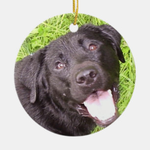 Ornamento De Cerâmica Labrador Preto