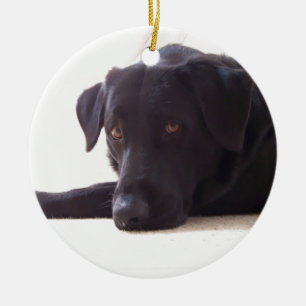 Ornamento De Cerâmica labrador retriever