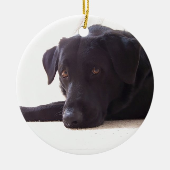 Ornamento De Cerâmica labrador retriever (Frente)