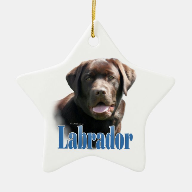 Ornamento De Cerâmica Labrador Retriever (chocolate) (Frente)