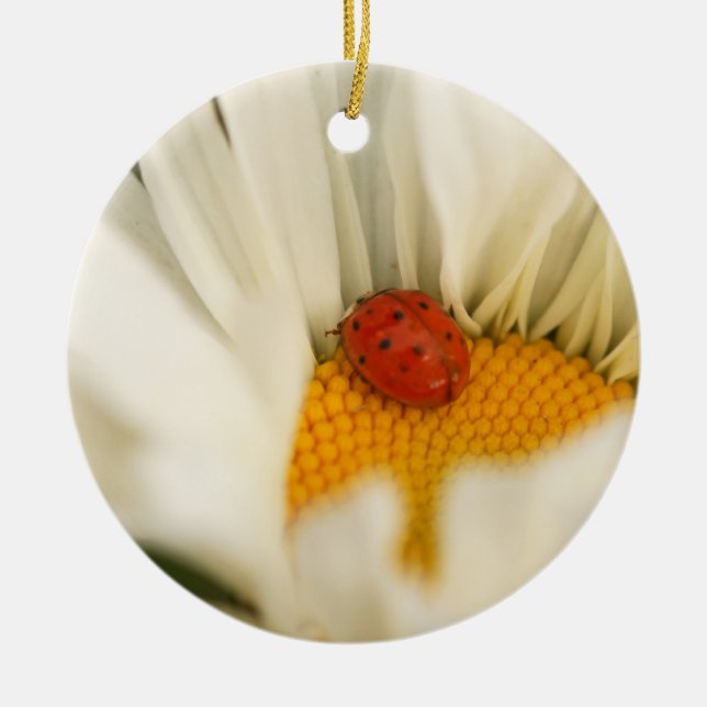 Ornamento De Cerâmica Ladybug e Daisy Ornament (Frente)