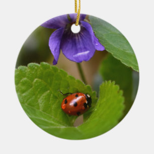 Ornamento De Cerâmica Ladybug em Flores de Violeta Doce