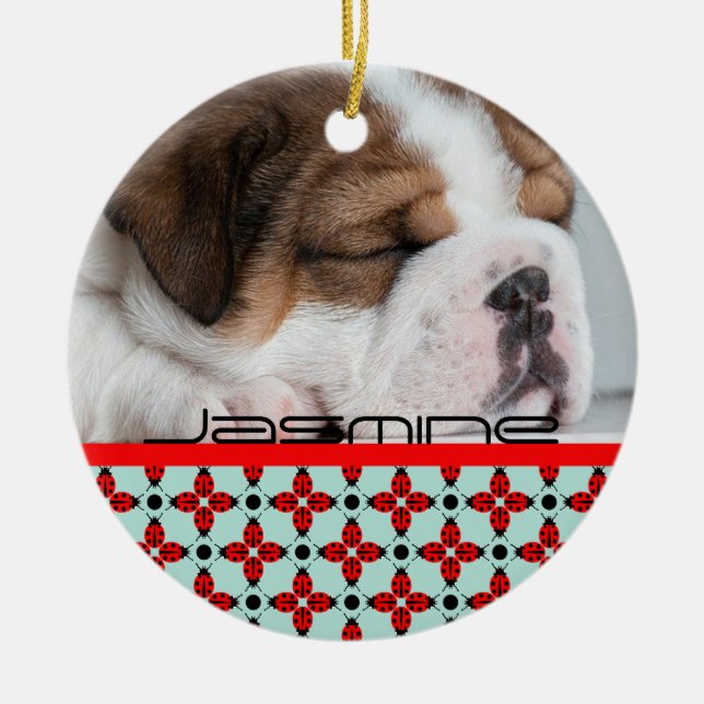 Ornamento De Cerâmica Ladybug Pattern (Frente)