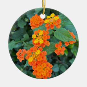 Ornamento De Cerâmica Lantana