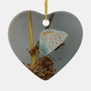 Ornamento De Cerâmica Laranja Branco Azul com Borboleta Preta