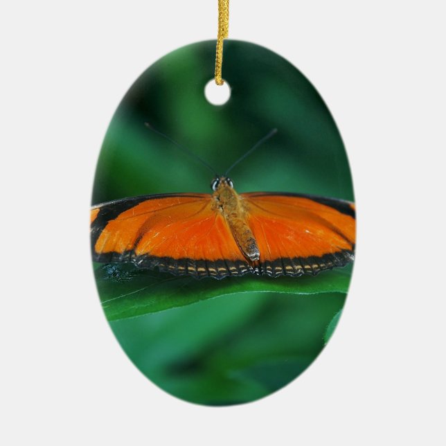 Ornamento De Cerâmica Laranja Brilhante e Borboleta Negra em Folha (Frente)