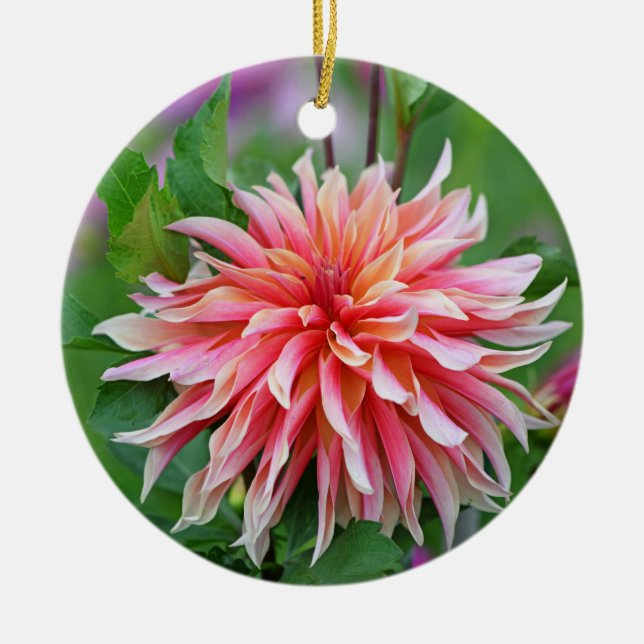 Ornamento De Cerâmica Laranja e Rosa Dahlia Flor 1 rua (Frente)