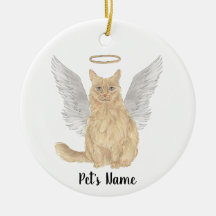 Laranja Maine Coon Simpatia Memorial